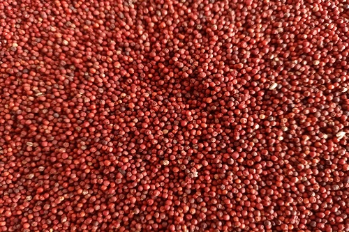 Ragi From Millet Village - 1 Kg