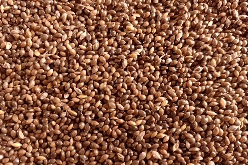 Little Millet from Millet village - 250 G