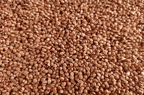 Kodo Millet - 250 G