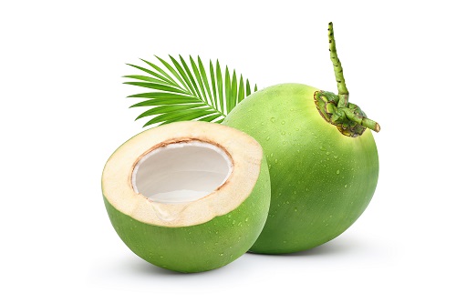 Tender coconut - 12 nos